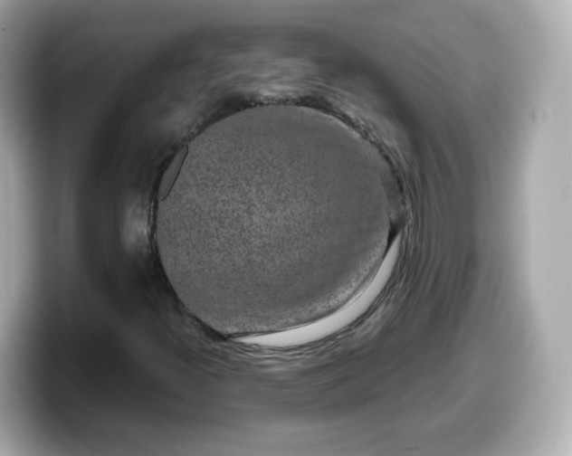 X0000099561300200805231504