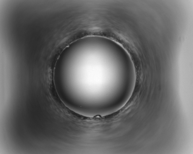 X0000099561301200805231504