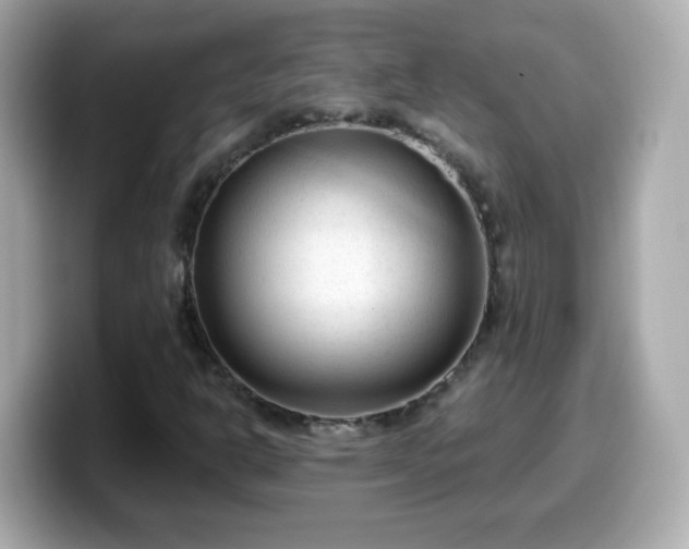 X0000099561302200805231504