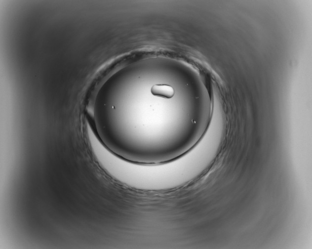 X0000099561304200805231504