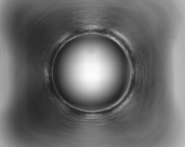 X0000099561305200805231504