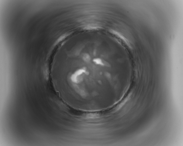 X0000099561306200805231504