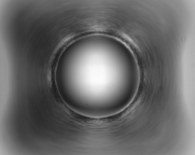 X0000099561307200805231504