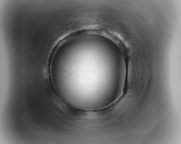 X0000099561308200805231504