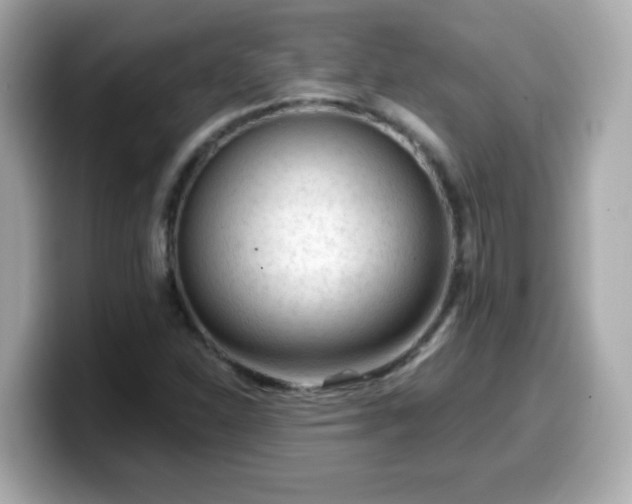 X0000099561310200805231504