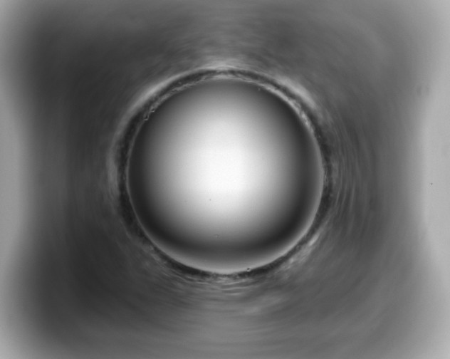 X0000099561311200805231504