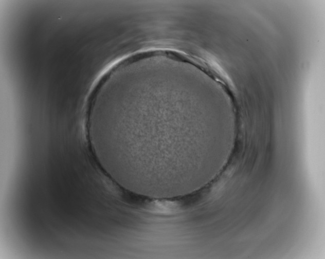 X0000099561312200805231504