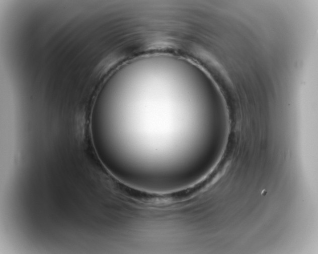 X0000099561313200805231504