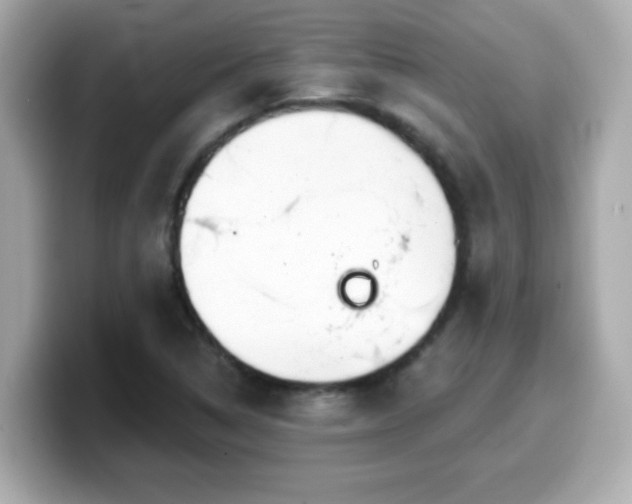 X0000099561314200805231504