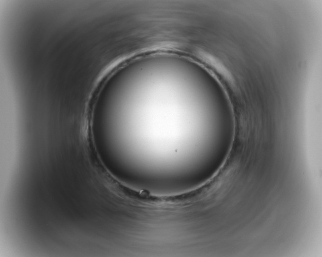 X0000099561316200805231504