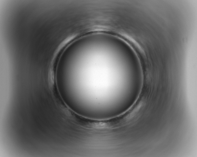 X0000099561317200805231504