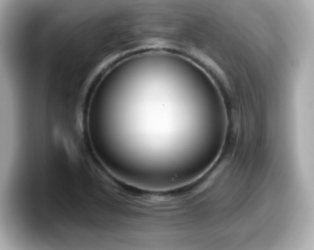 X0000099561318200805231504