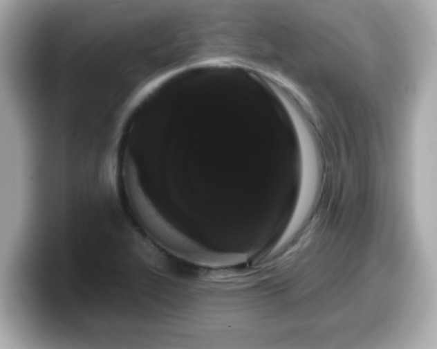 X0000099561319200805231505