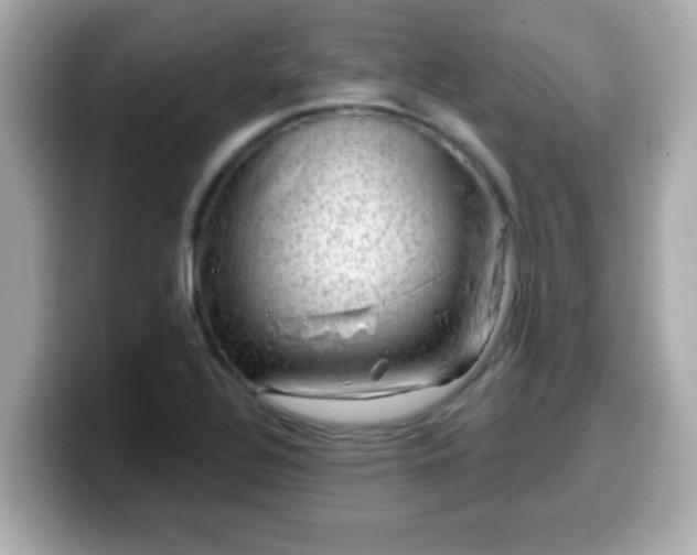 X0000099561320200805231505