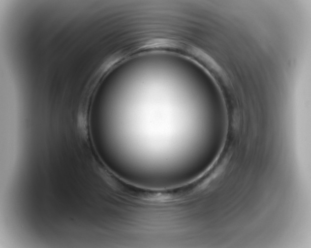 X0000099561321200805231505