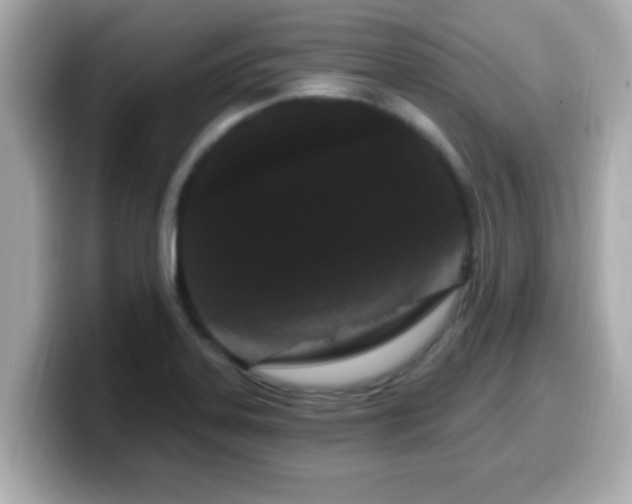 X0000099561323200805231505