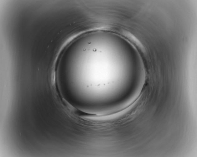 X0000099561324200805231505