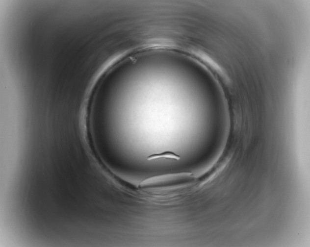 X0000099561325200805231505