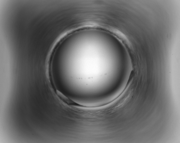 X0000099561326200805231505