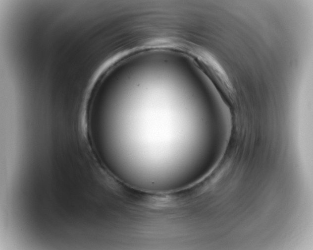 X0000099561328200805231505