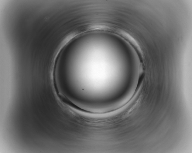 X0000099561330200805231505