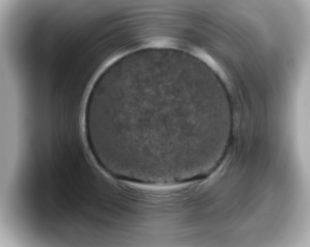 X0000099561331200805231505