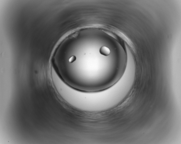 X0000099561332200805231505