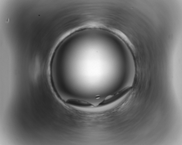 X0000099561335200805231505