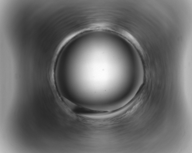 X0000099561336200805231505