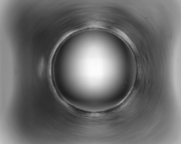 X0000099561339200805231505