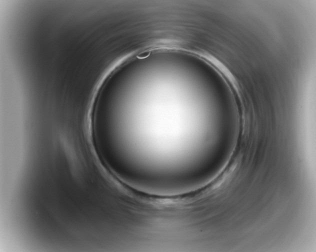 X0000099561341200805231505