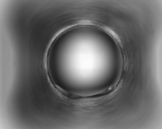 X0000099561342200805231505