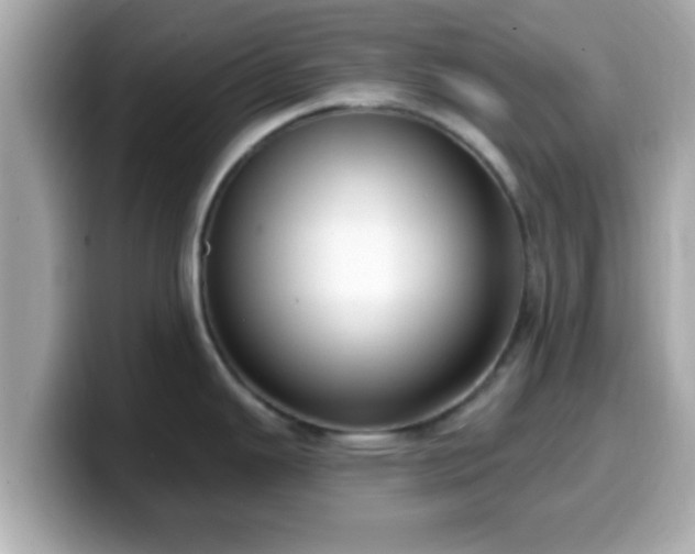 X0000099561343200805231505