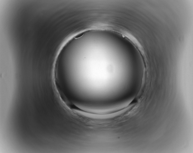 X0000099561344200805231505