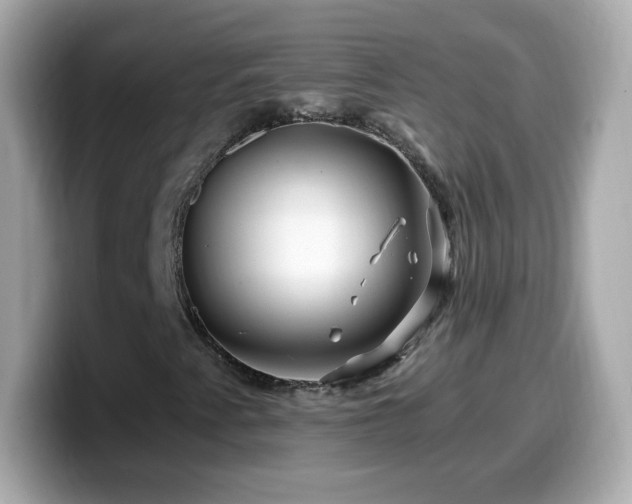 X0000099561345200805231504