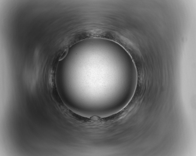 X0000099561346200805231504