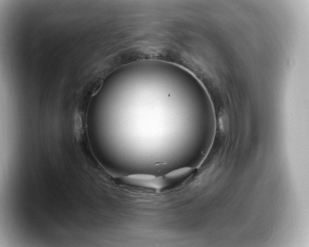 X0000099561347200805231504