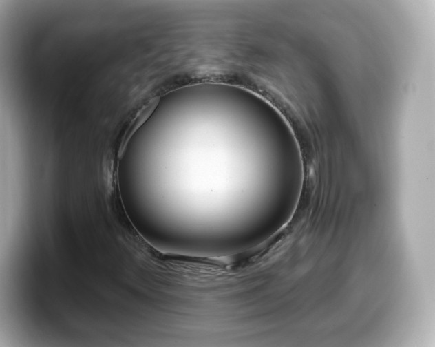 X0000099561348200805231504