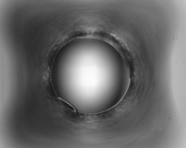 X0000099561349200805231504