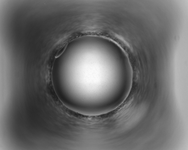 X0000099561350200805231504