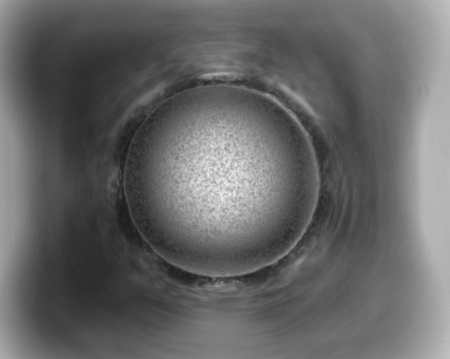 X0000099561351200805231504