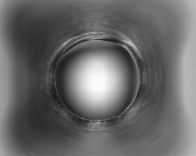 X0000099561352200805231504