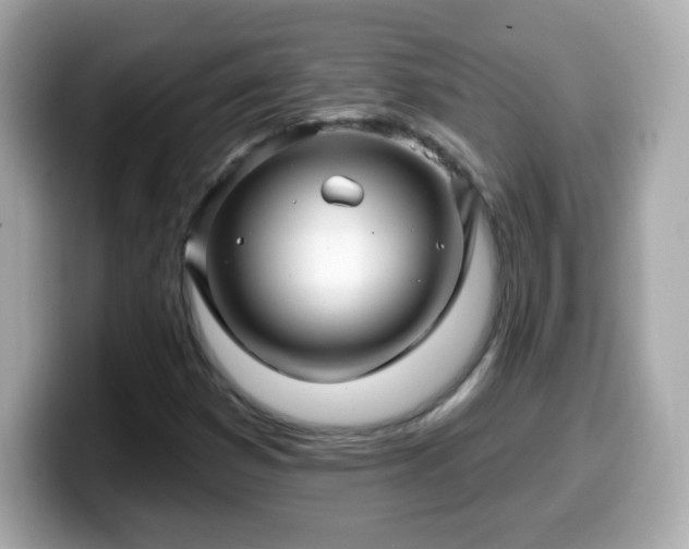 X0000099561353200805231504