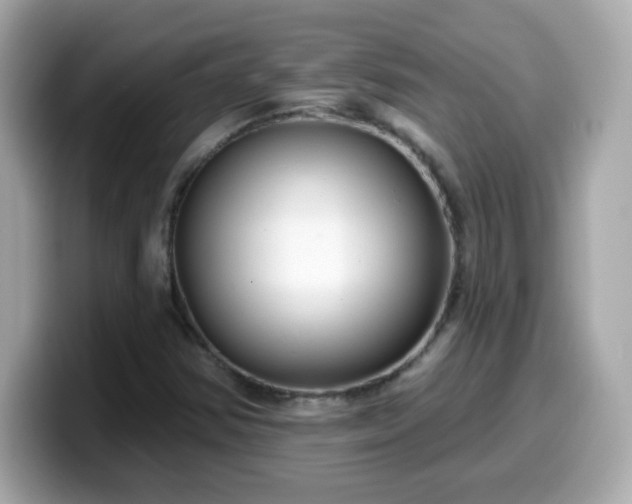 X0000099561354200805231504