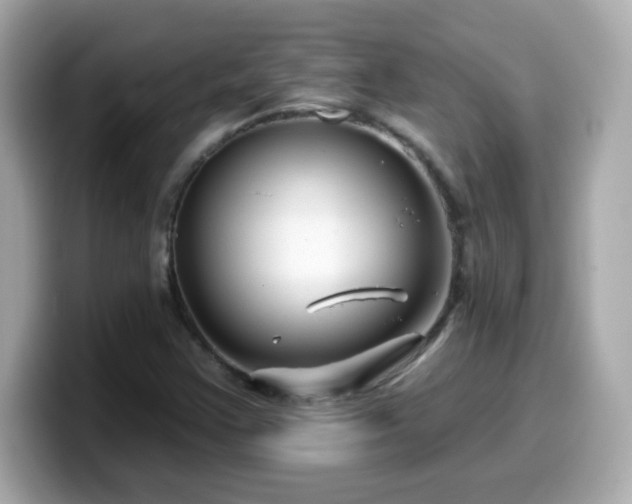 X0000099561355200805231504