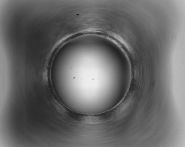 X0000099561356200805231504