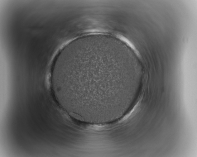 X0000099561357200805231504