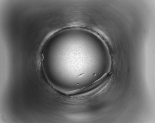 X0000099561358200805231504