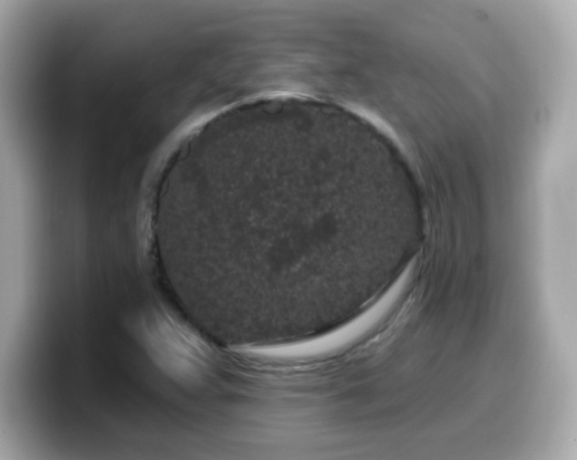 X0000099561359200805231504