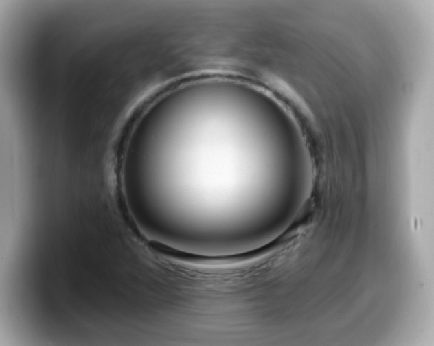 X0000099561360200805231504